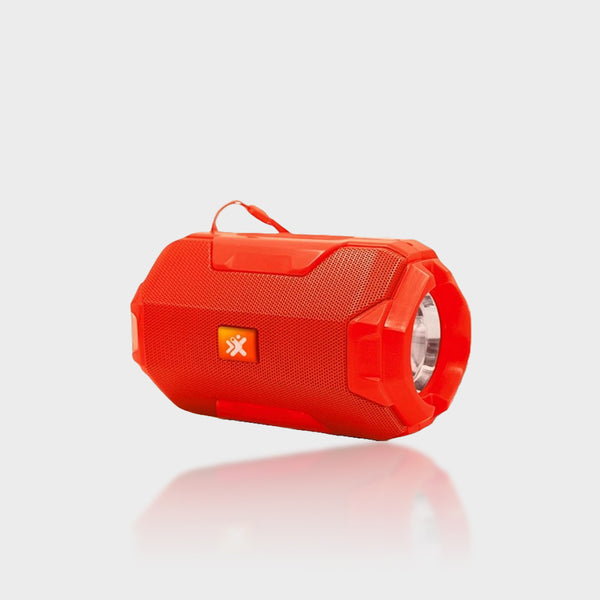 NextGen Speaker NBS-312