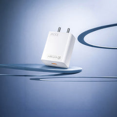 CH 22 Charger